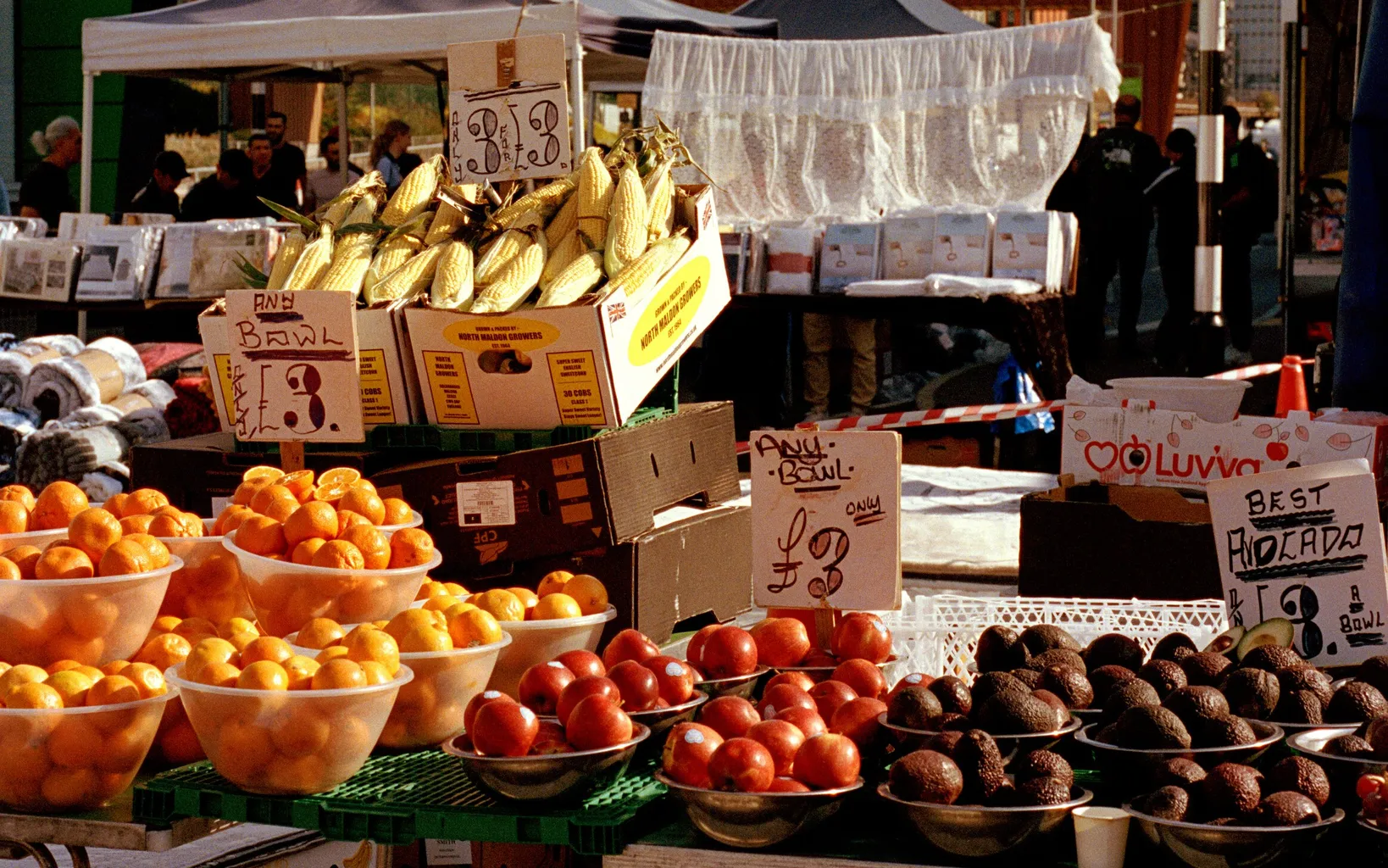 Outdoor market stall with bowls of oranges, red tomatoes, bananas, and avocados; city buildings and tents in the background. Image code: 44_0002743_R1_20_20A.
