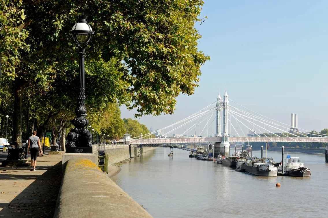 Riverside walkway lined with trees beside the Thames, with boats docked and the Albert Bridge visible in the background under a clear sky.