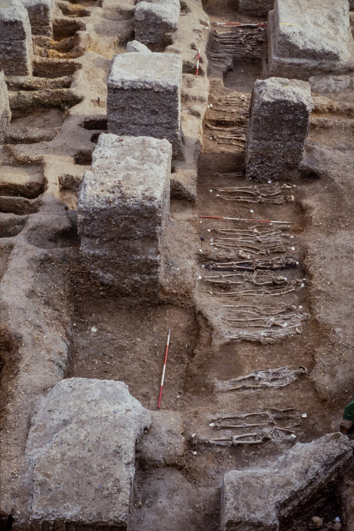 Aerial view of an archaeological site showing multiple human skeletons buried in rows among stone ruins and soil excavation layers.