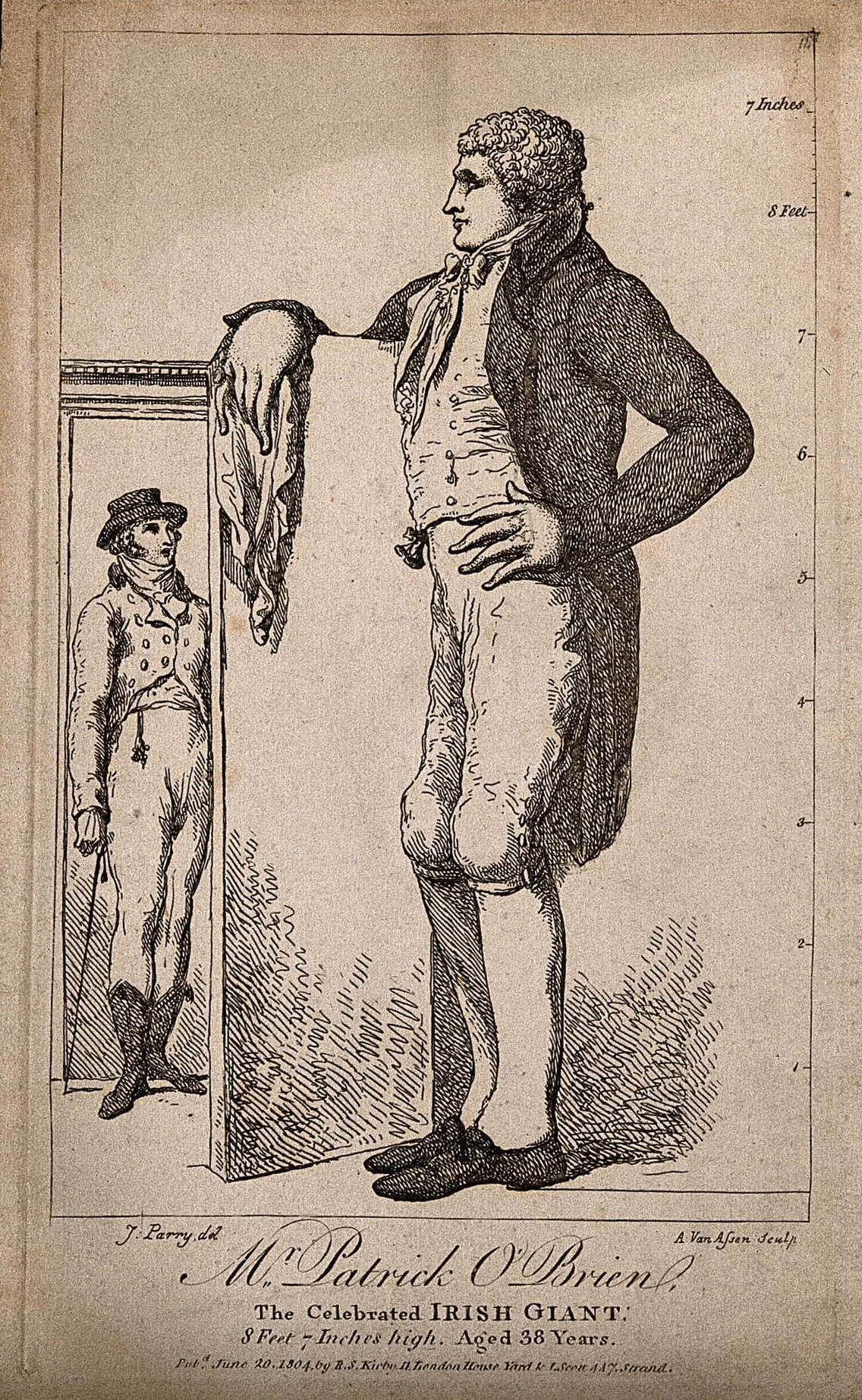 An illustration of a tall man next to a shorter one, with the text reading 'Mr Patrick O'Brien, The Celebrated Irish Giant'
