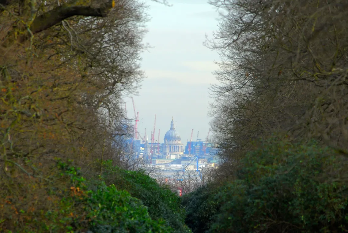 View of St Paul’s Cathedral in London, once the site of royal ceremonies for King and country, framed by leafless trees with construction cranes visible in the background under a cloudy sky.