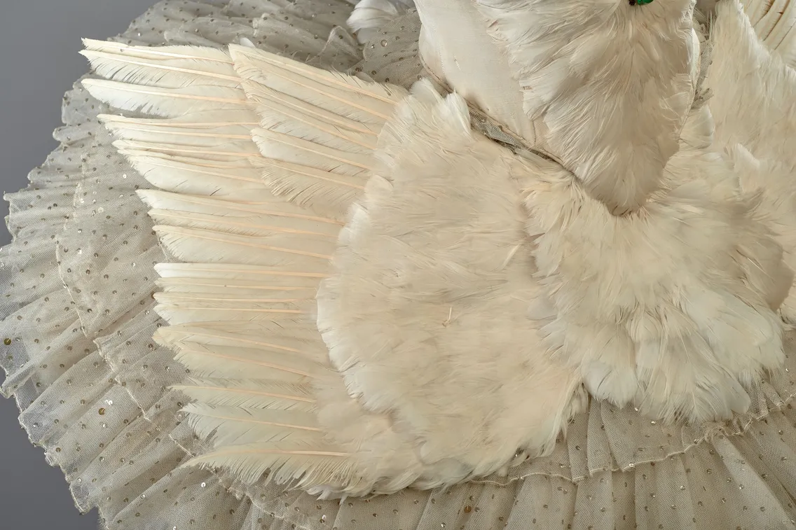 Close up detail of white goose feather 'wings' below the bodice of a tutu.