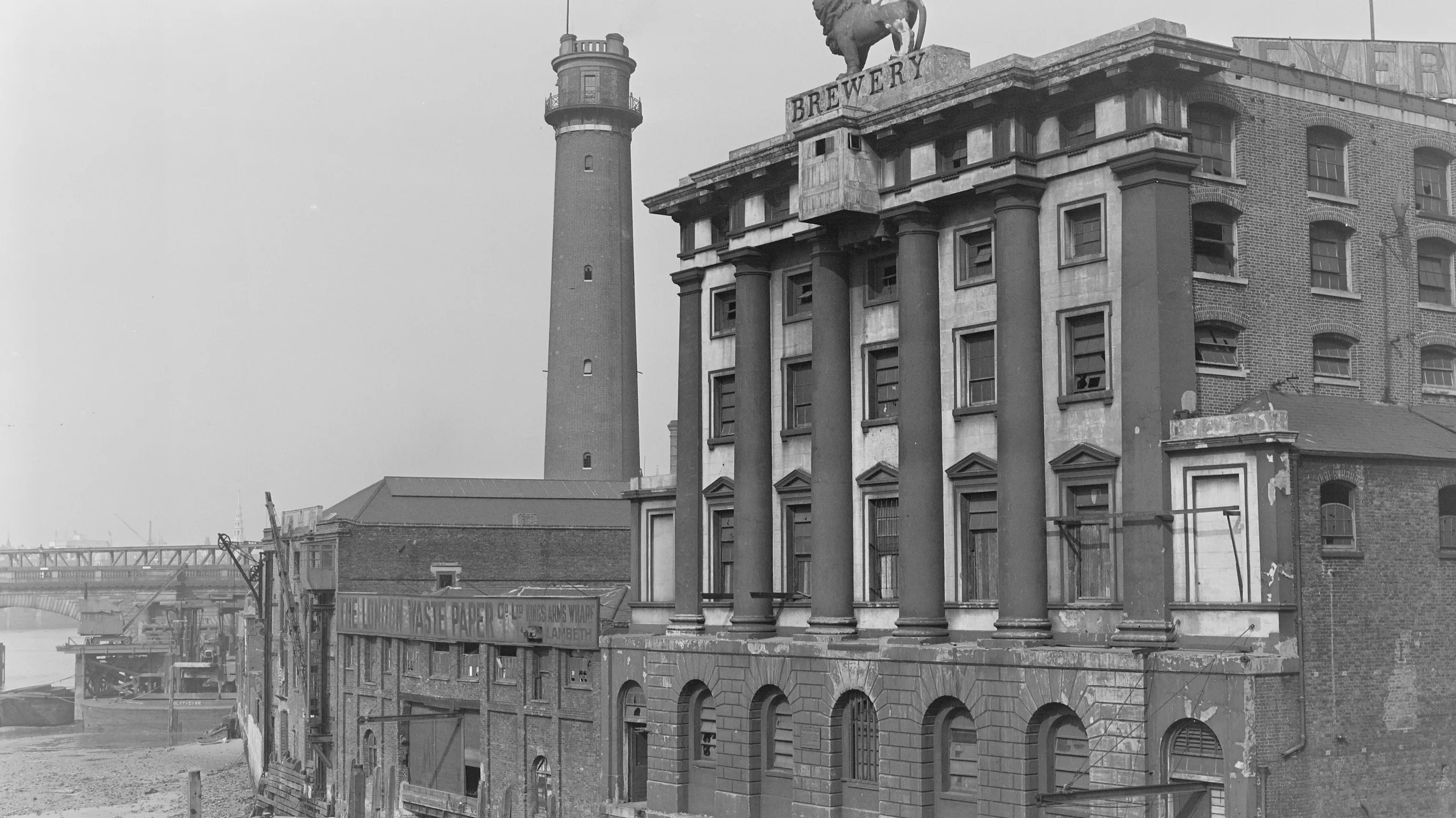 negative, cellulose acetate