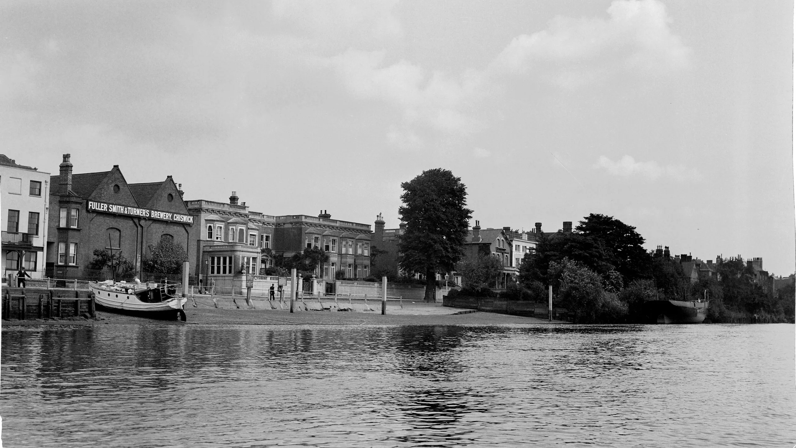 negative, cellulose acetate