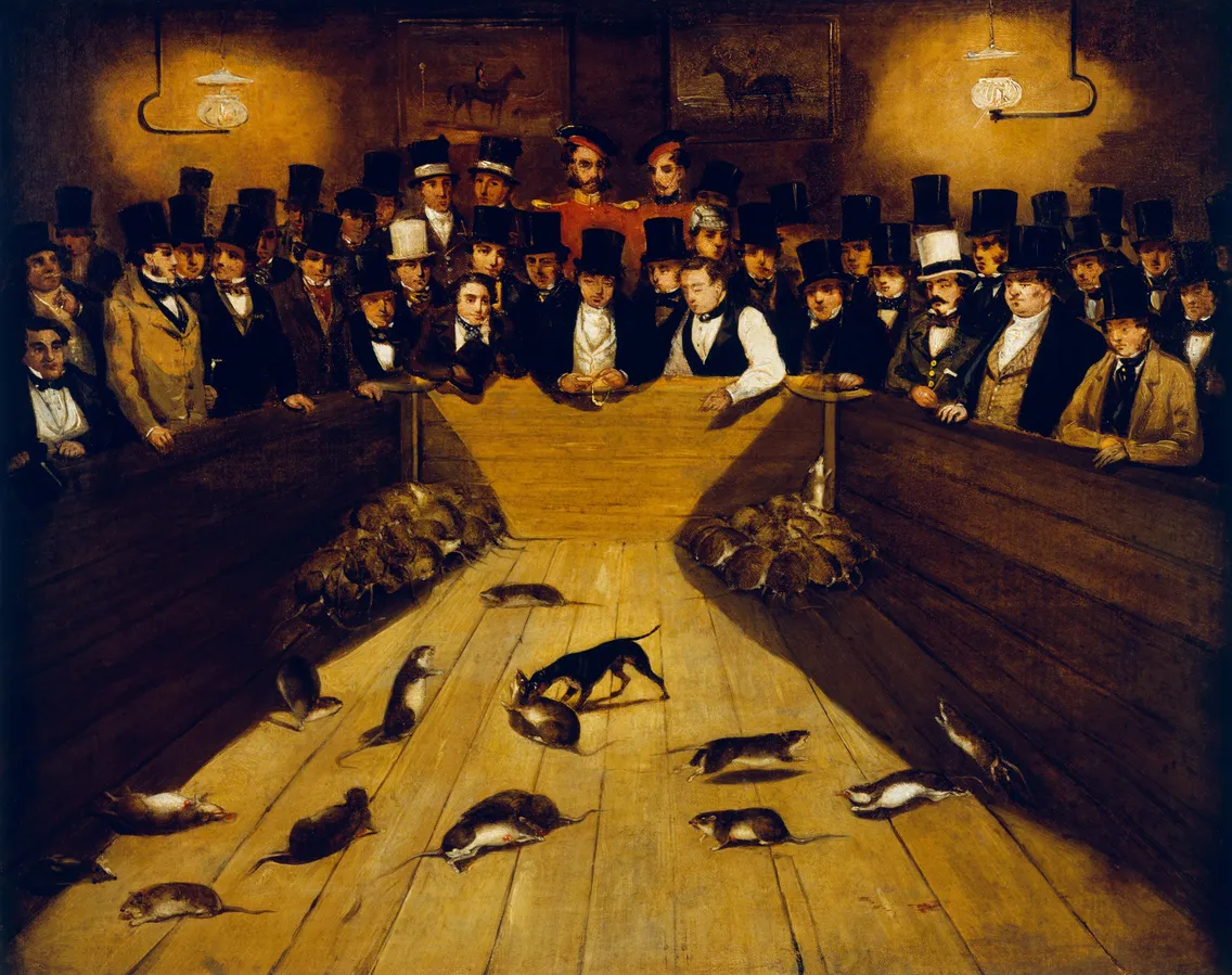Painting depicting a 19th-century rat-catching event in a dimly lit room filled with men in top hats watching dogs hunt rats.