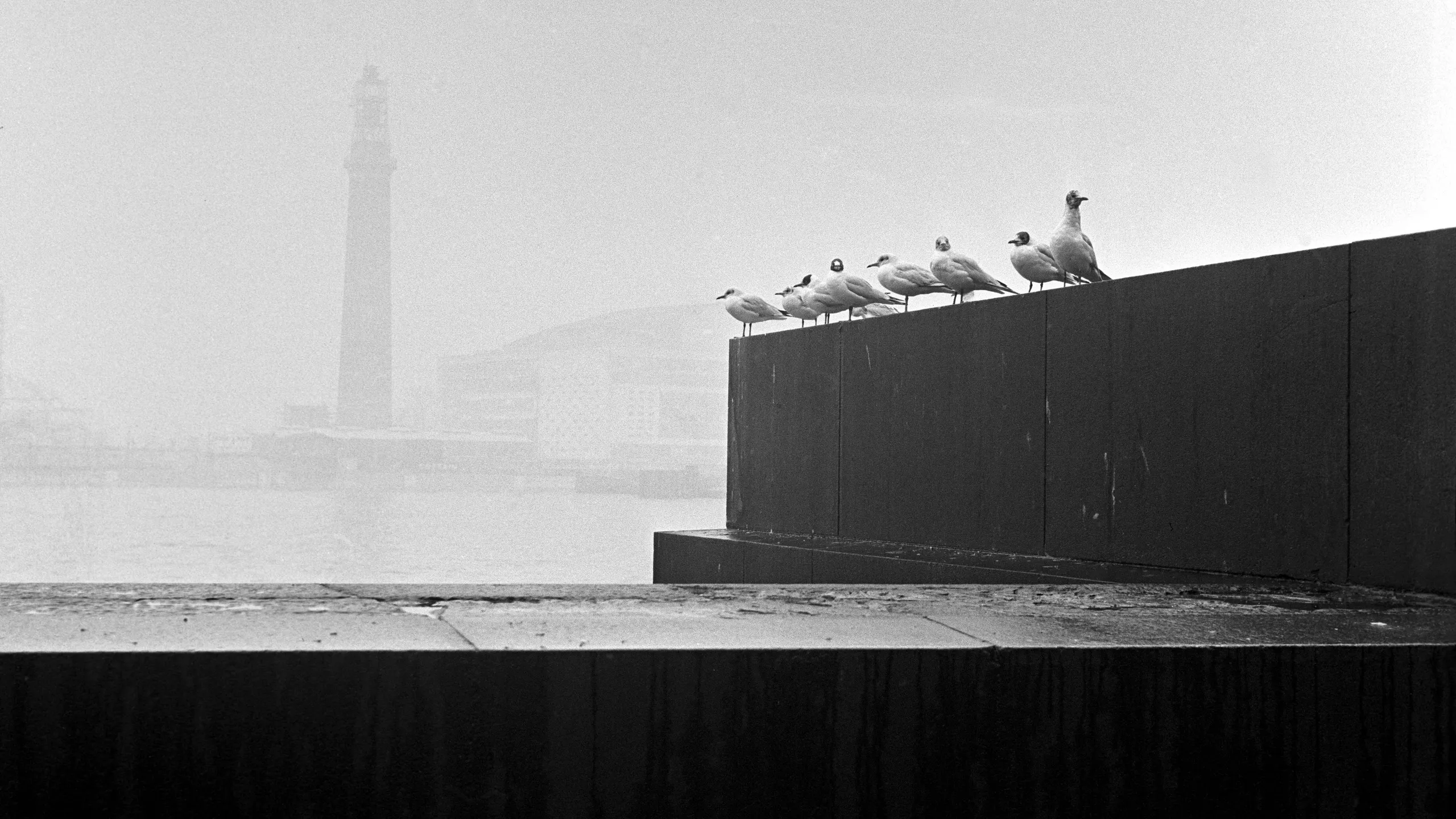 photograph, pigment print. A view across the River Thames of the Royal Festival Hall and Shot Tower, misty though visible in the distance. The 19th century shot tower was demolished in 1967 to make way for the Queen Elizabeth Hall.